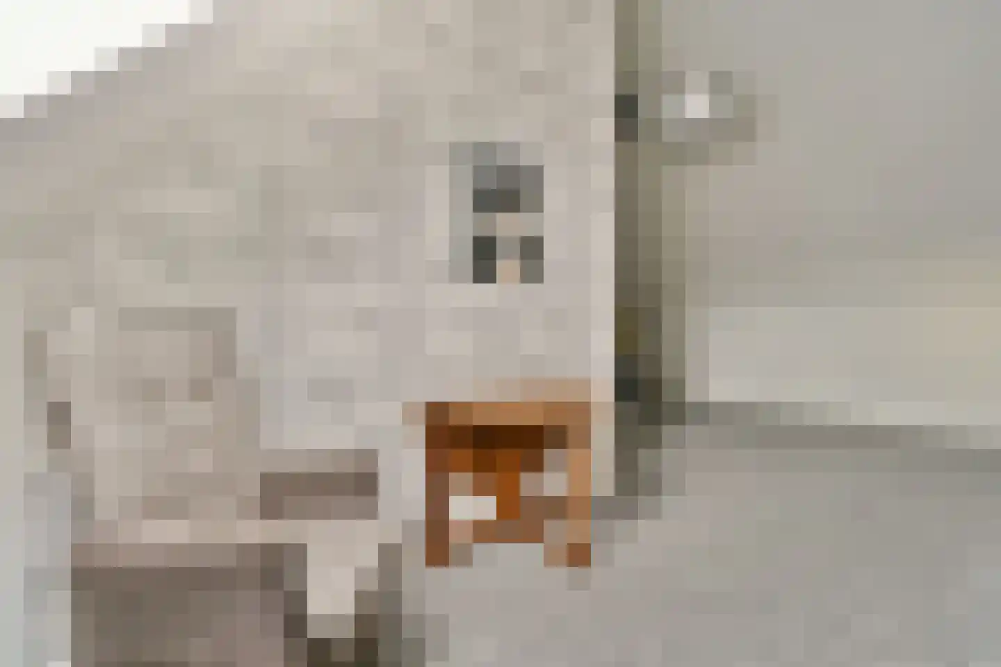 Zwembaan 179 Vlaardingen thumbnail 34