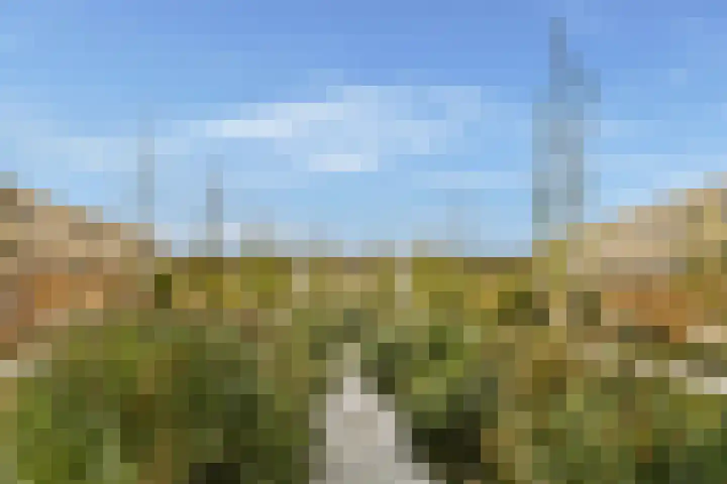 Zwembaan 179 Vlaardingen thumbnail 39