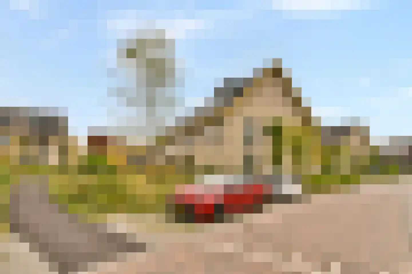 Zwembaan 190 Vlaardingen thumbnail 30