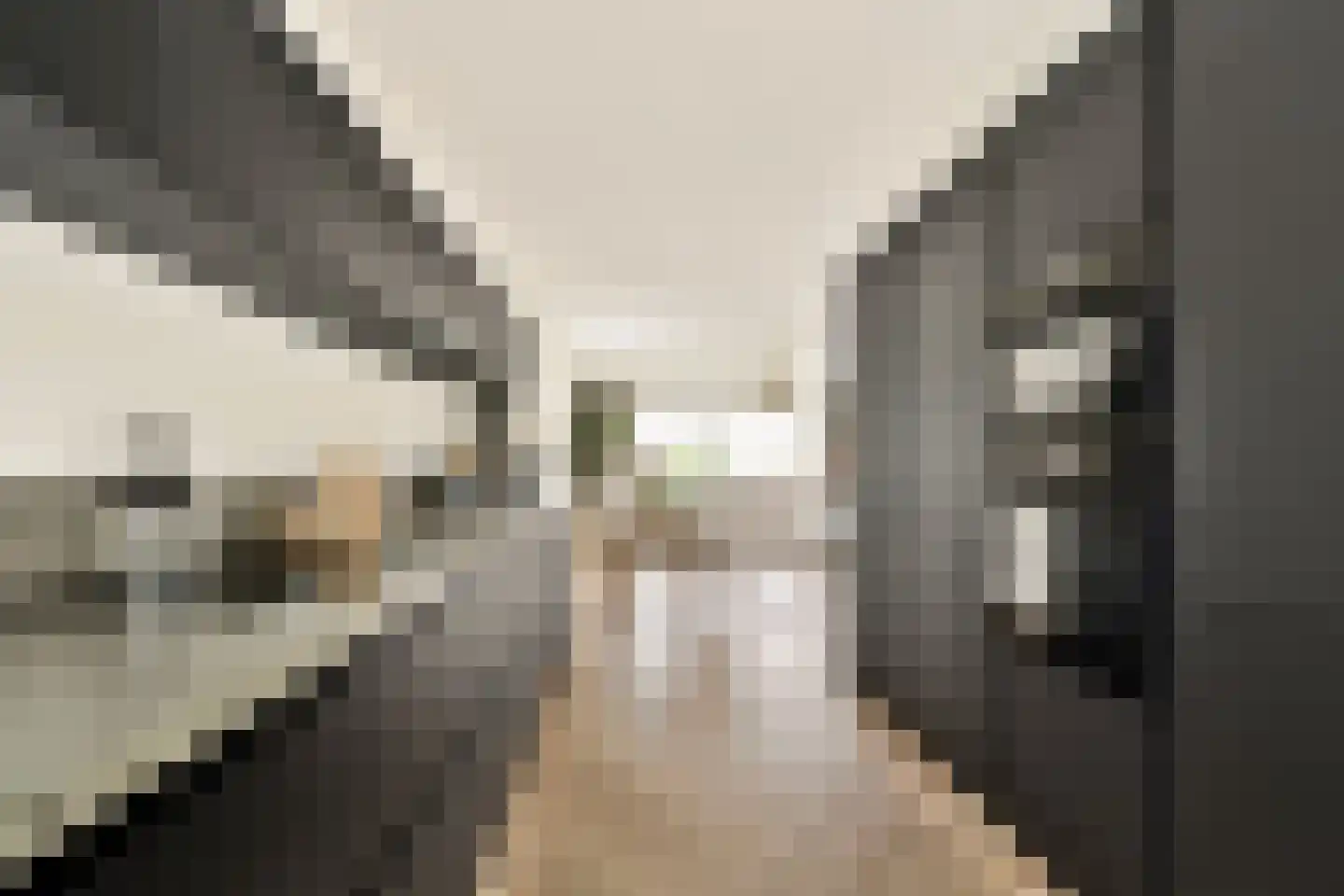 Zwembaan 190 Vlaardingen thumbnail 9