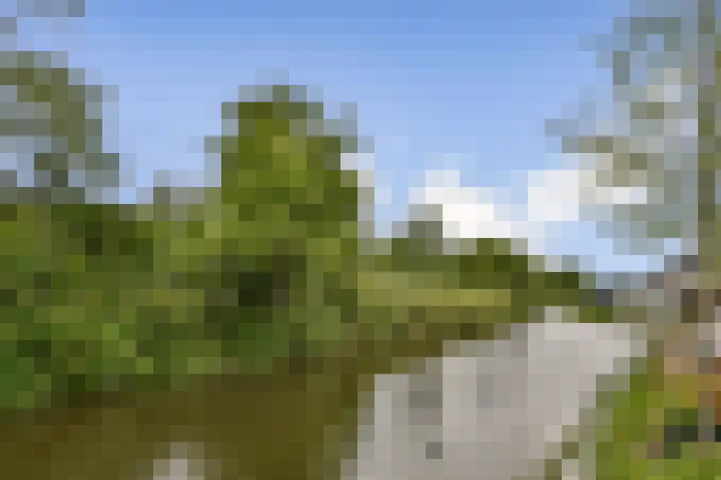 Zwembaan 200 Vlaardingen thumbnail 33