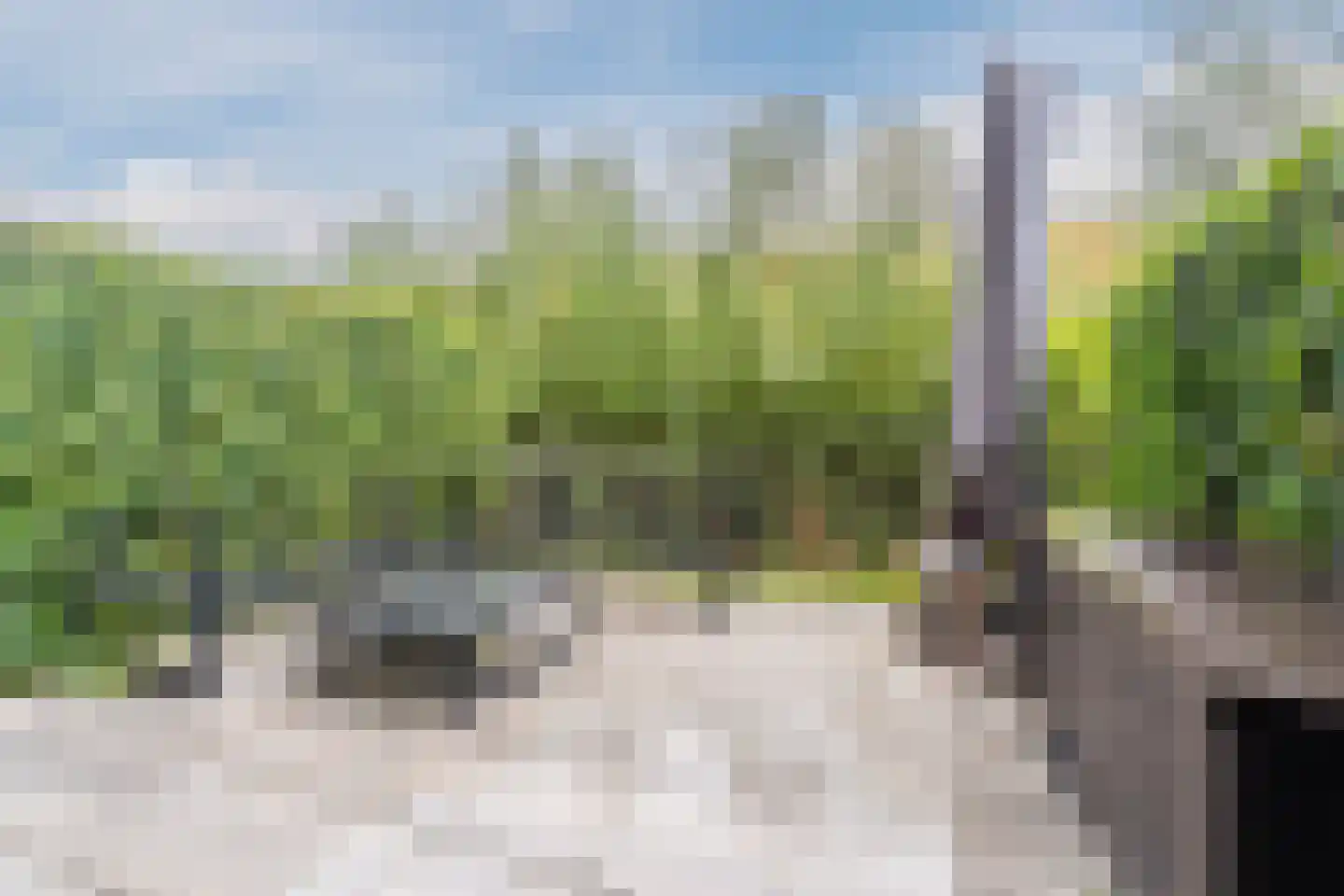 Zwembaan 50 Vlaardingen thumbnail 38
