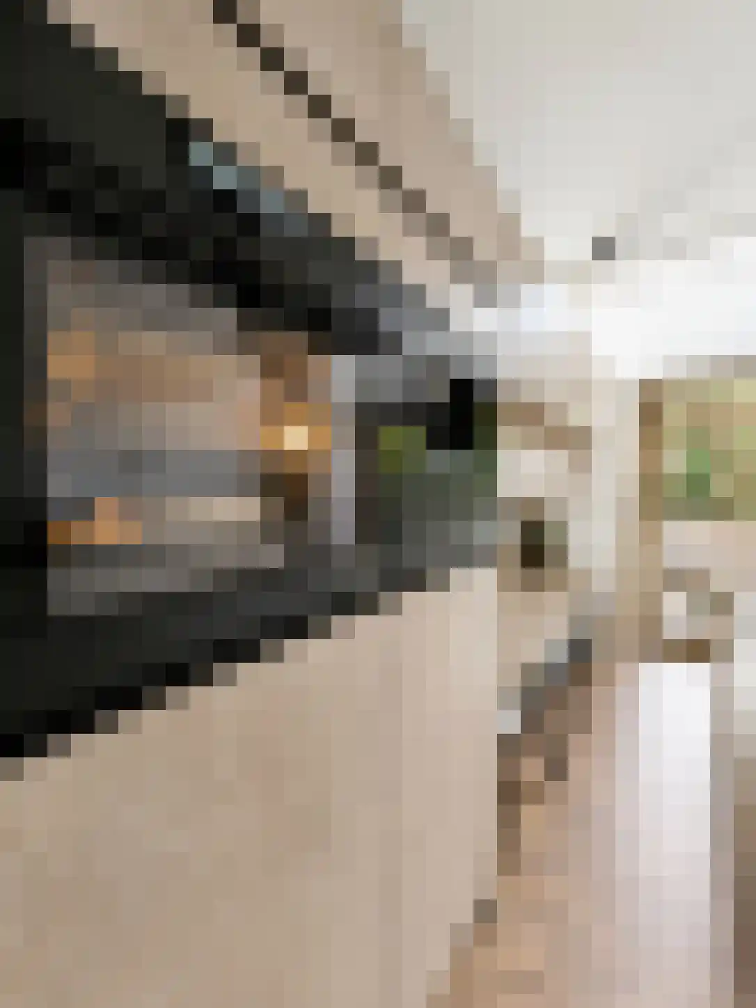 Zwembaan 60 Vlaardingen thumbnail 10