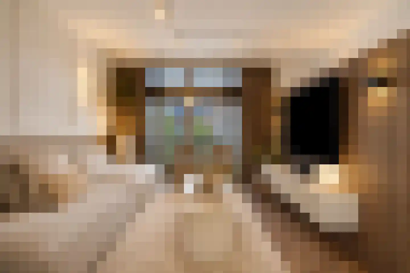 Zwembaan 60 Vlaardingen thumbnail 17