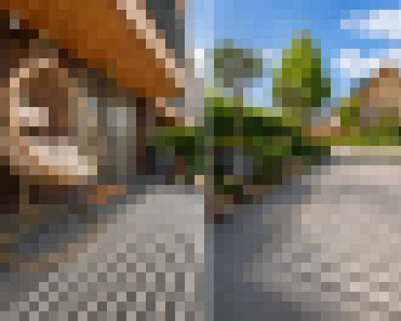 Zwembaan 60 Vlaardingen thumbnail 40