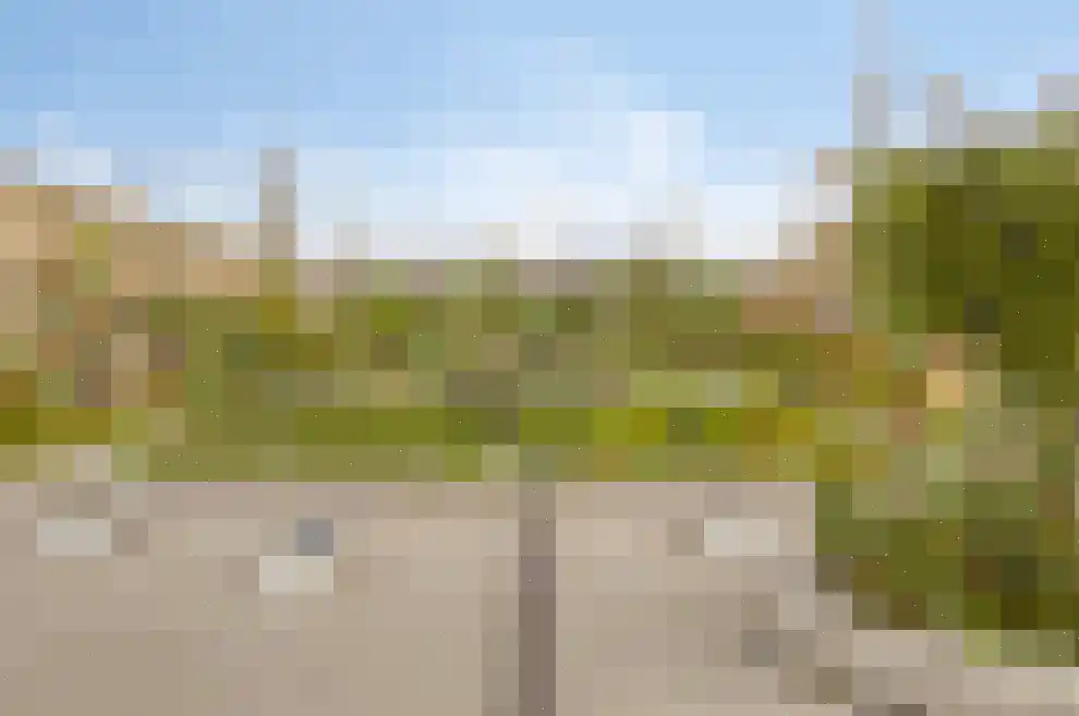 Zwembaan 60 Vlaardingen thumbnail 48