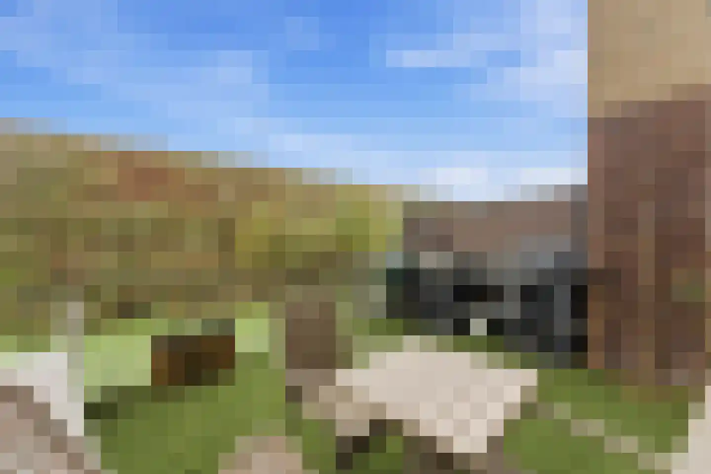 Zwembaan 64 Vlaardingen thumbnail 23