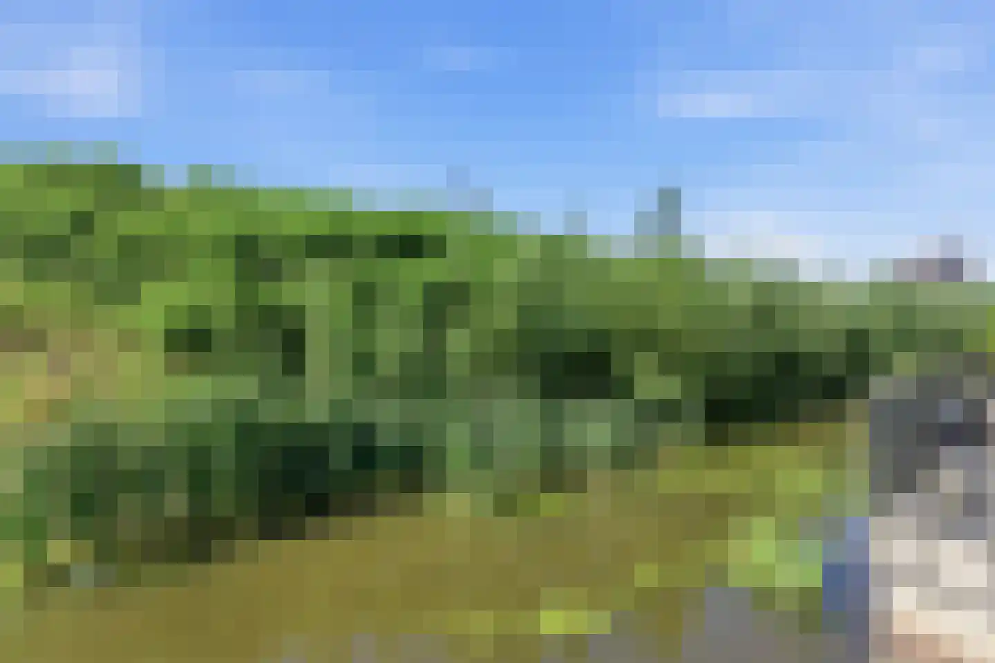 Zwembaan 64 Vlaardingen thumbnail 24