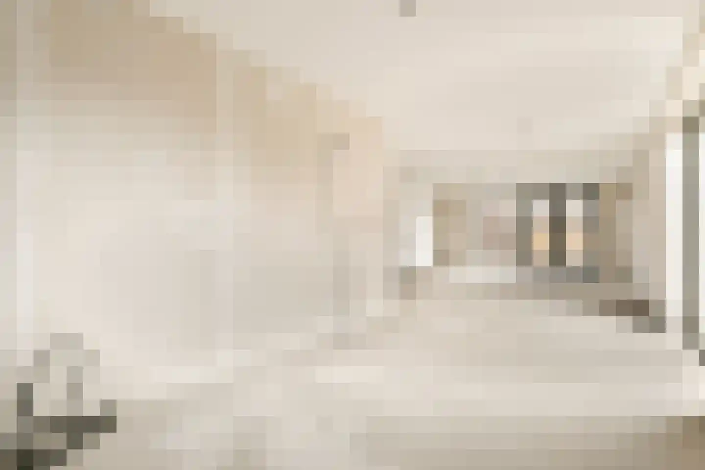 Zwembaan 9 Vlaardingen thumbnail 9