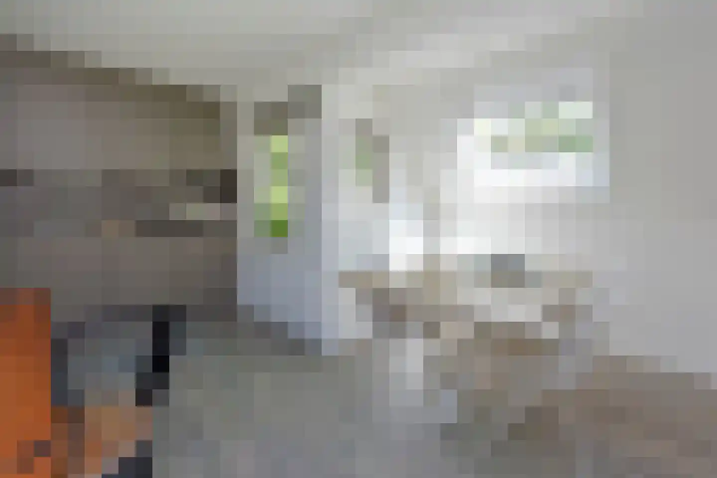 Zwembadweg 1 T Posterholt thumbnail 10