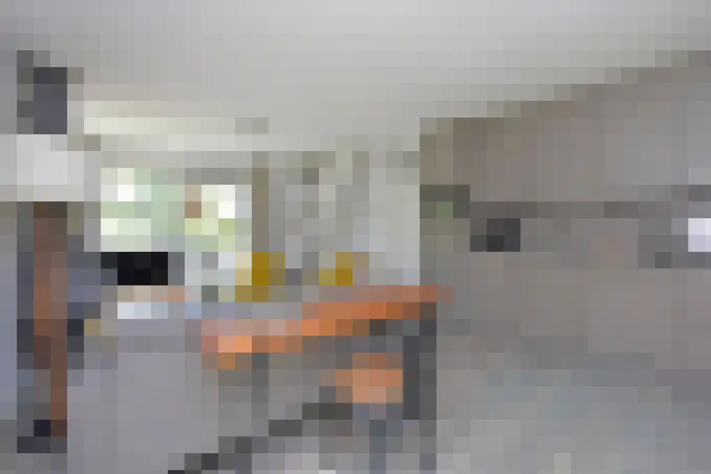 Zwembadweg 1 T Posterholt thumbnail 12