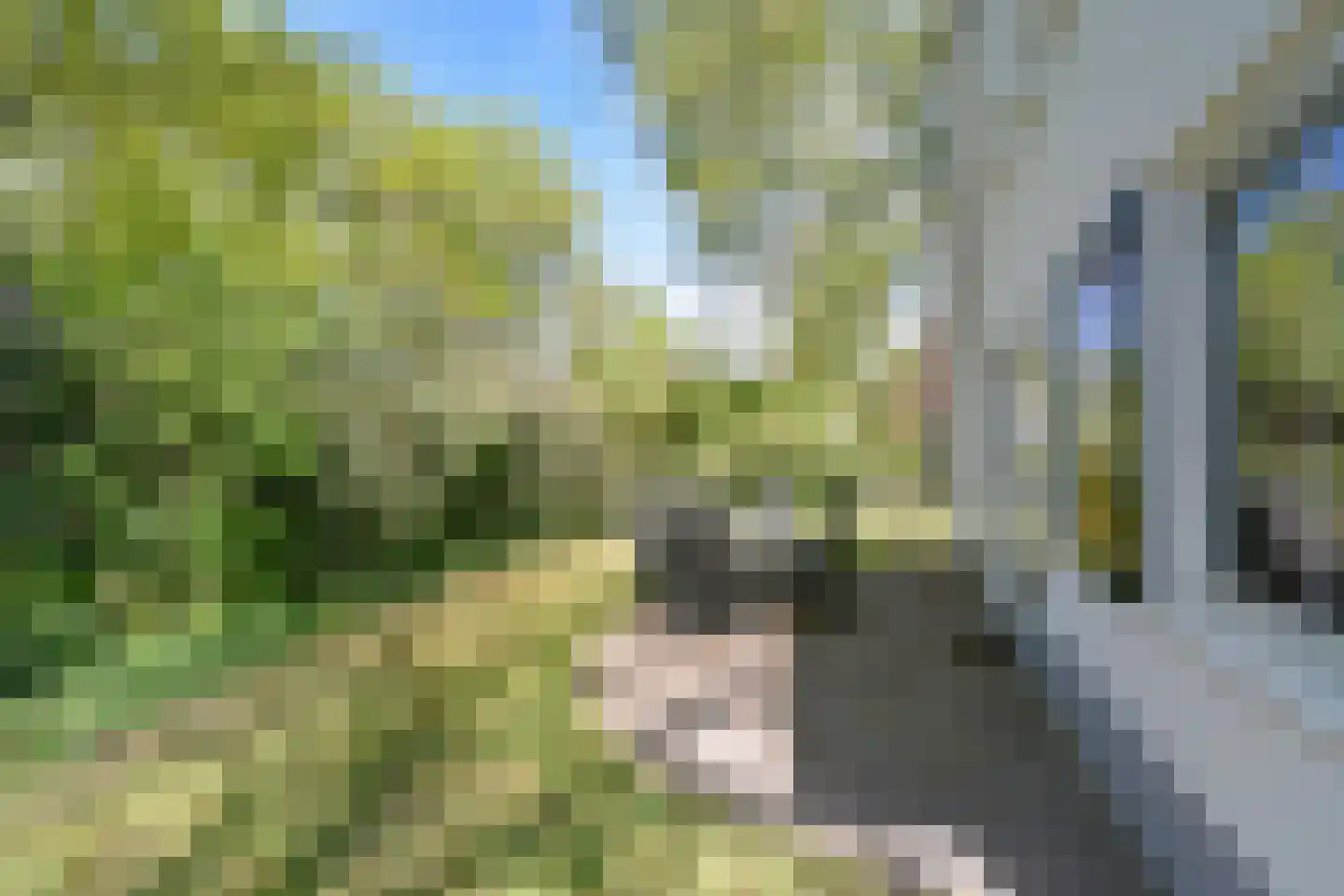 Zwembadweg 1 T Posterholt thumbnail 23