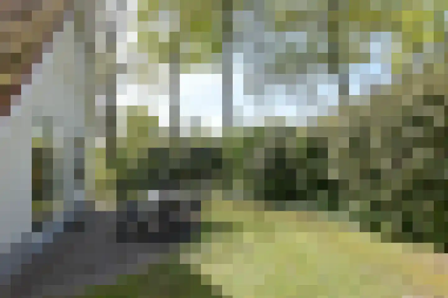 Zwembadweg 1 T Posterholt thumbnail 24