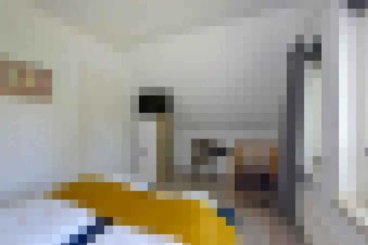 Zwembadweg 1 T Posterholt thumbnail 26