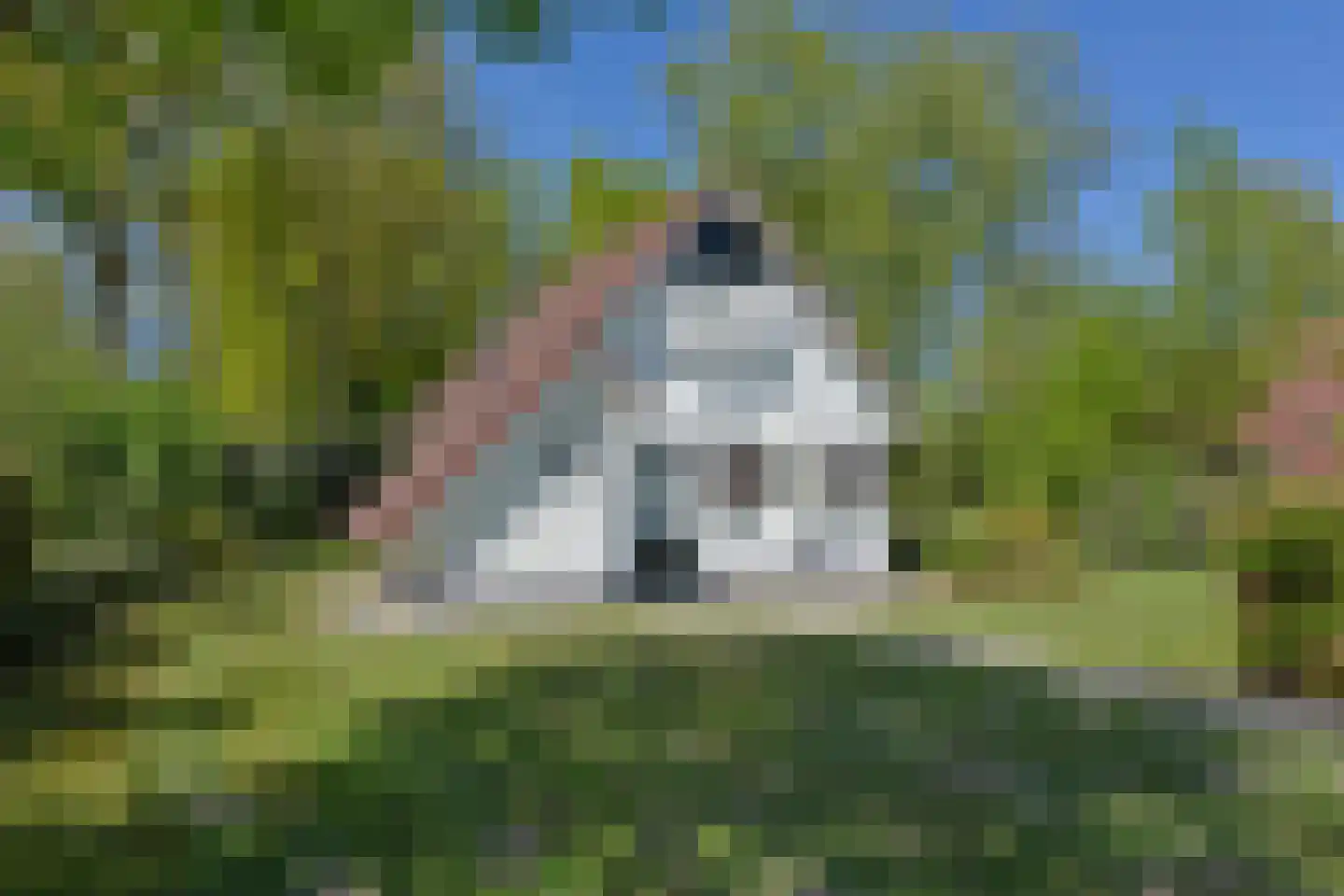 Zwembadweg 1 T Posterholt thumbnail 26