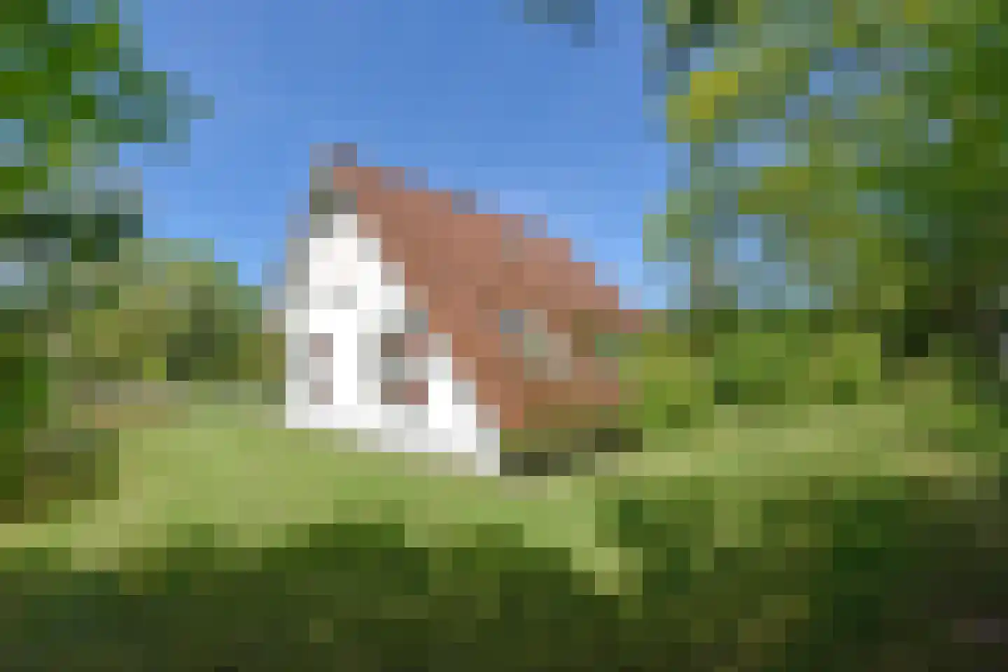 Zwembadweg 1 T Posterholt thumbnail 30