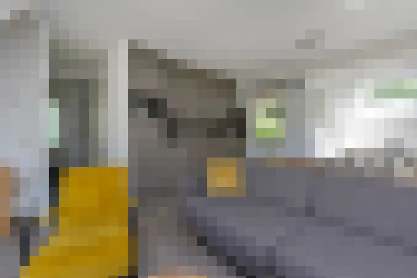 Zwembadweg 1 T Posterholt thumbnail 5
