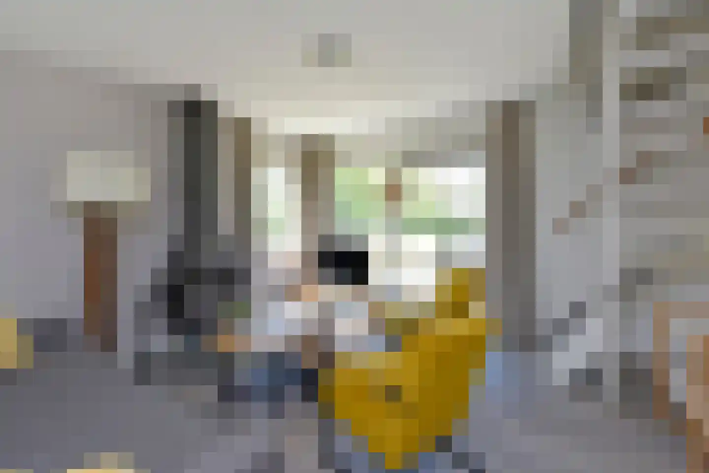 Zwembadweg 1 T Posterholt thumbnail 8