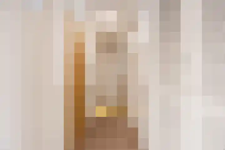 Zwembadweg 15 Schijndel thumbnail 18