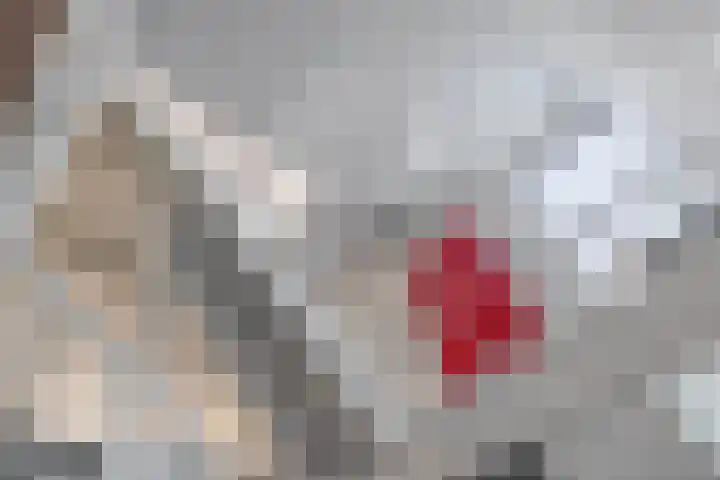 Zwembadweg 17 Eindhoven thumbnail 14