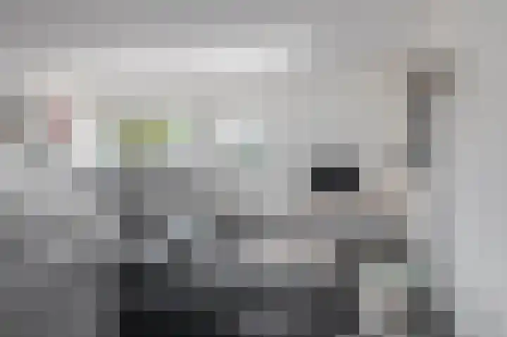 Zwembadweg 17 Eindhoven thumbnail 29