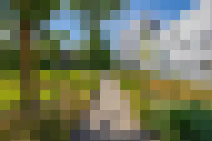 Zwembadweg 17 Eindhoven thumbnail 36