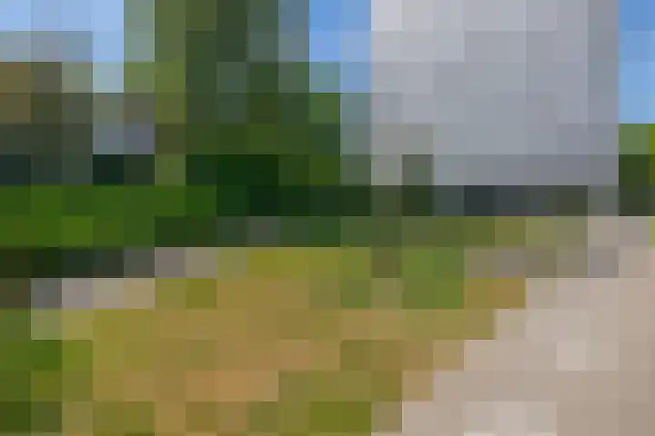 Zwembadweg 17 Eindhoven thumbnail 37