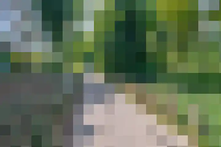 Zwembadweg 17 Eindhoven thumbnail 38
