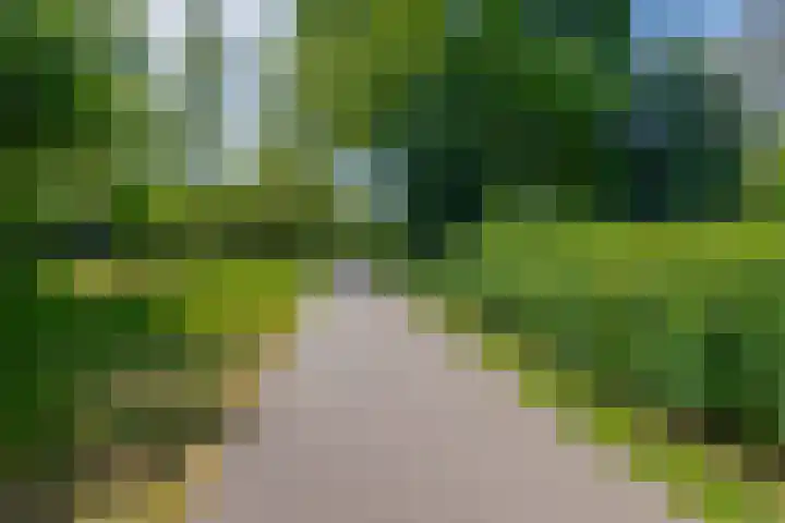Zwembadweg 17 Eindhoven thumbnail 39
