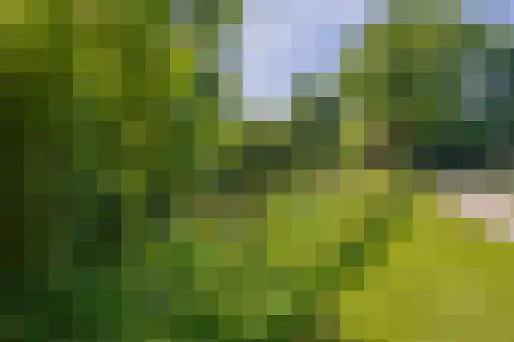 Zwembadweg 17 Eindhoven thumbnail 41