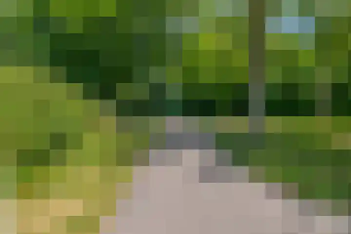 Zwembadweg 17 Eindhoven thumbnail 42