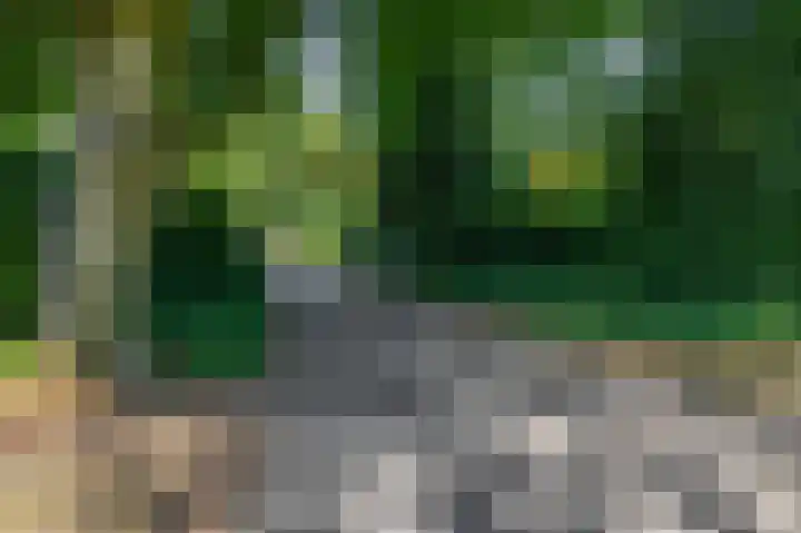 Zwembadweg 17 Eindhoven thumbnail 43