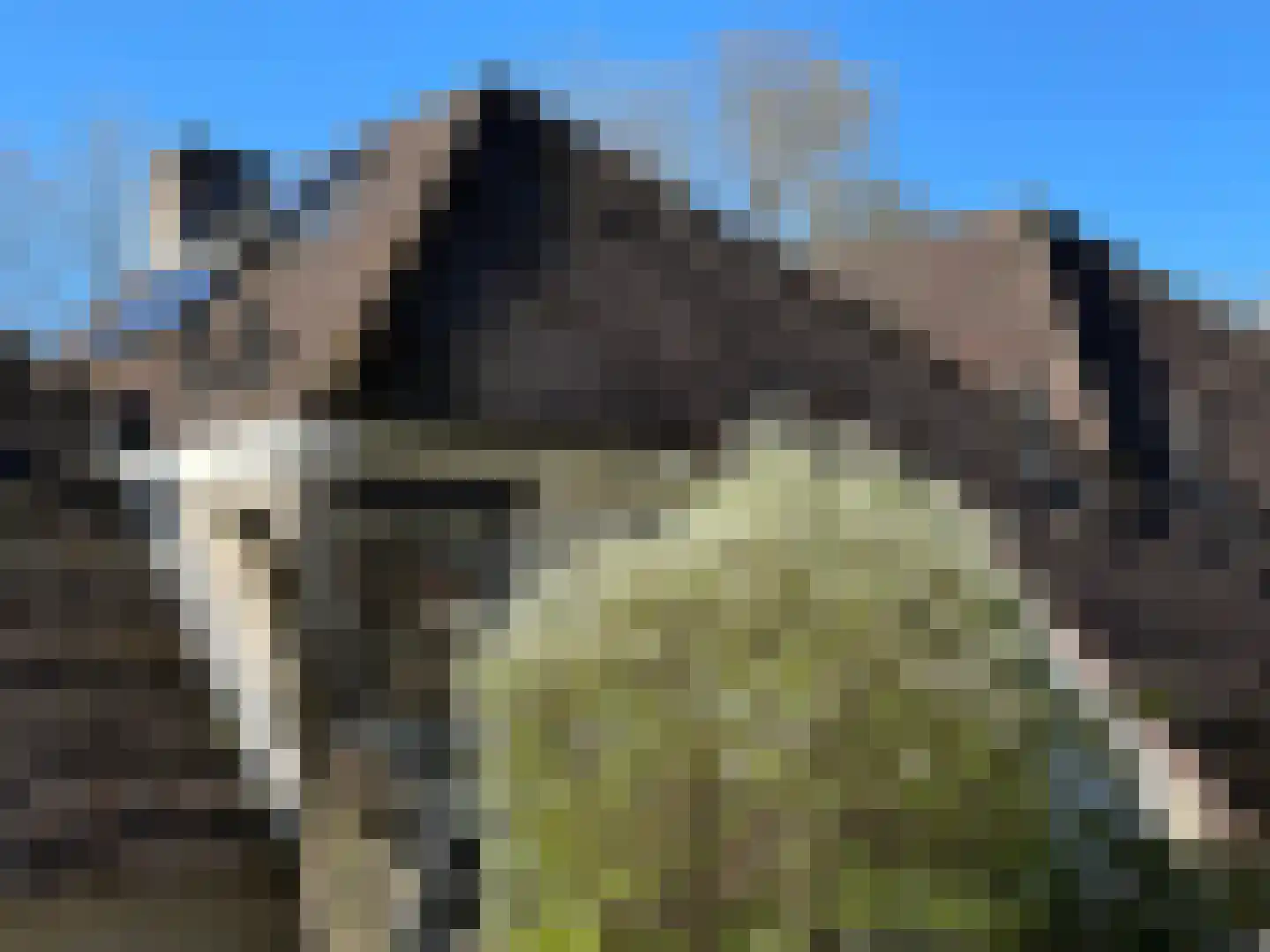 Zwembadweg 2 BG6 Posterholt thumbnail 33