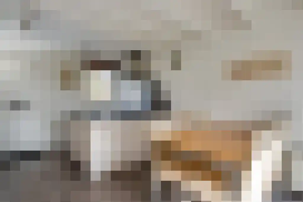 Zwembadweg 2 BG6 Posterholt thumbnail 4
