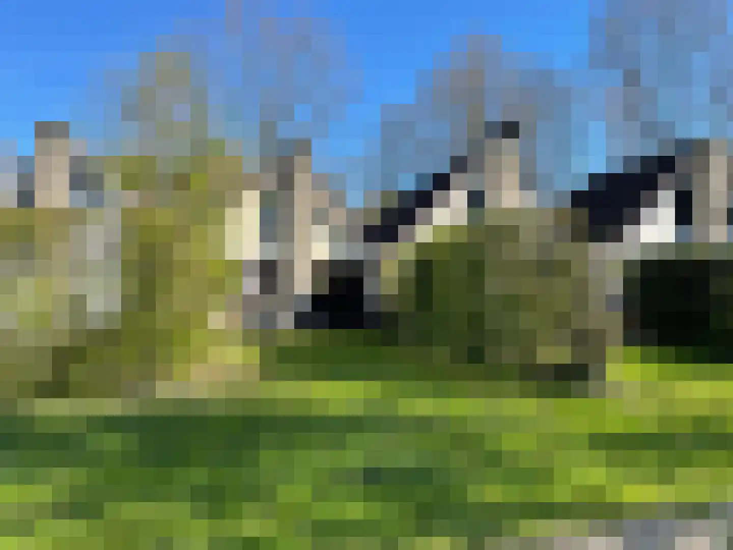Zwembadweg 2 BG6 Posterholt thumbnail 41