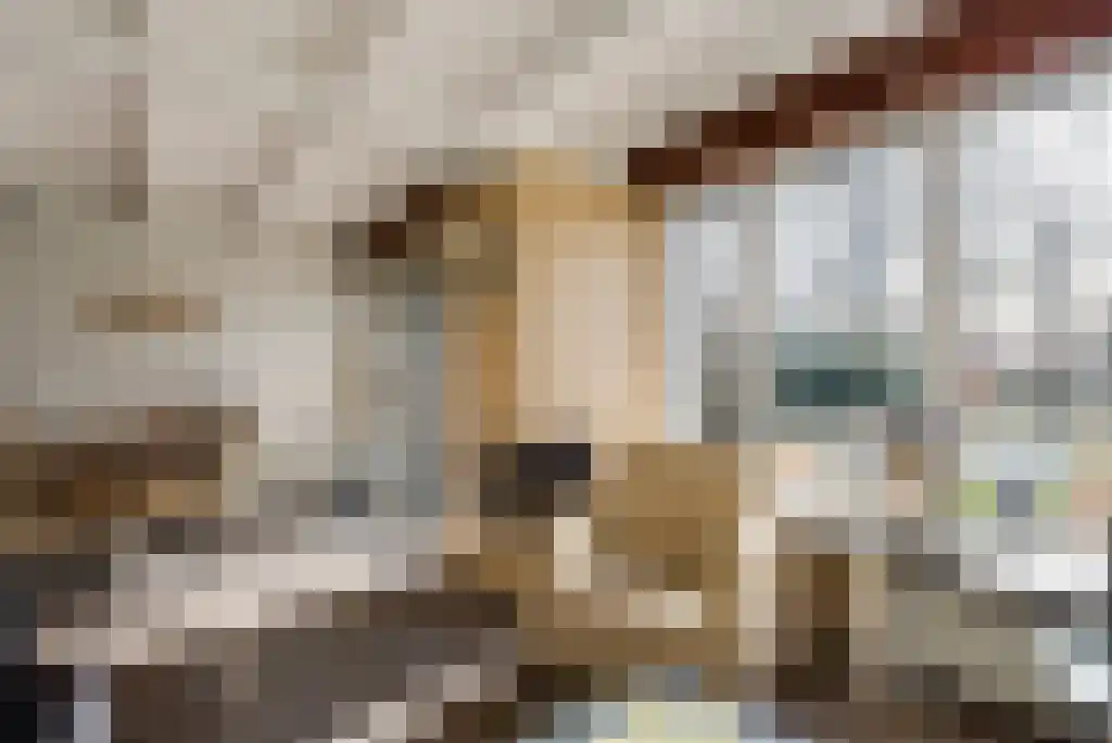 Zwembadweg 2 BG6 Posterholt thumbnail 7