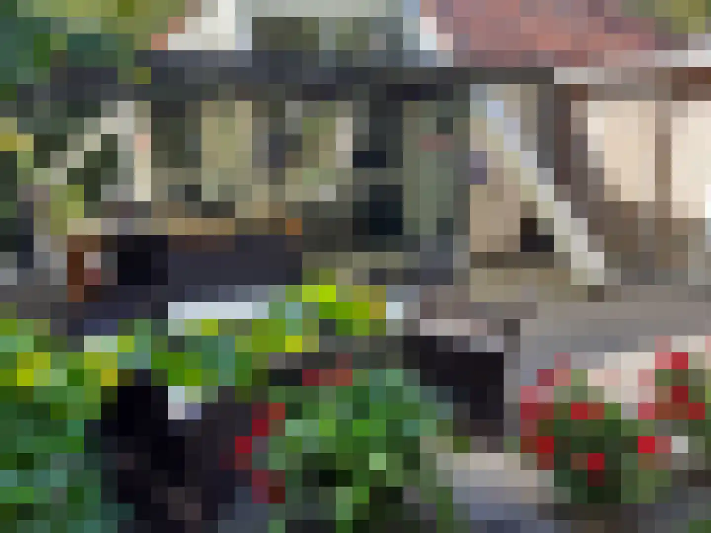Zwembadweg 2 W 114 Posterholt thumbnail 24
