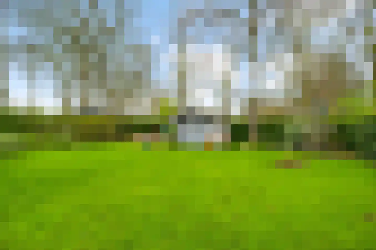 Zwembadweg 2 W 114 Posterholt thumbnail 26