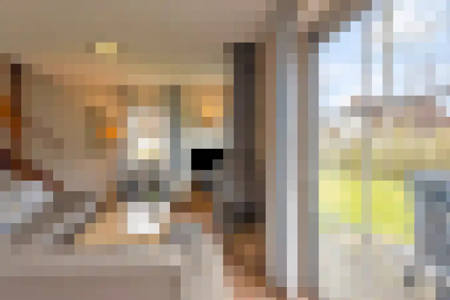 Zwembadweg 2 W44 Posterholt thumbnail 10