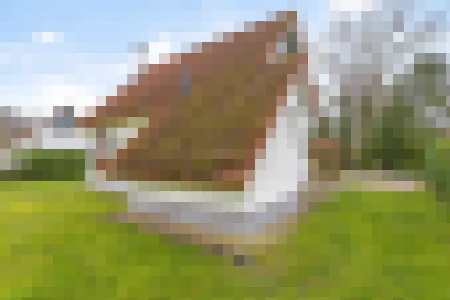 Zwembadweg 2 W44 Posterholt thumbnail 28
