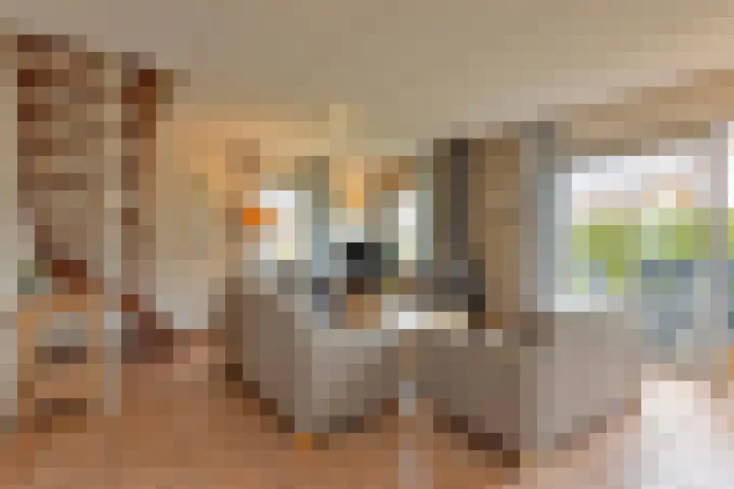 Zwembadweg 2 W44 Posterholt thumbnail 6