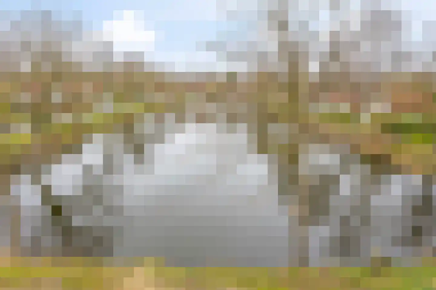Zwembadweg 2 W46 Posterholt thumbnail 16