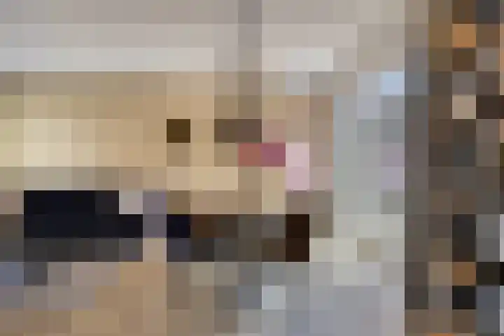 Zwembadweg 21 Schijndel thumbnail 13