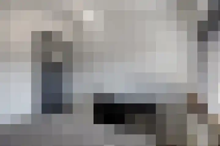 Zwembadweg 21 Schijndel thumbnail 30