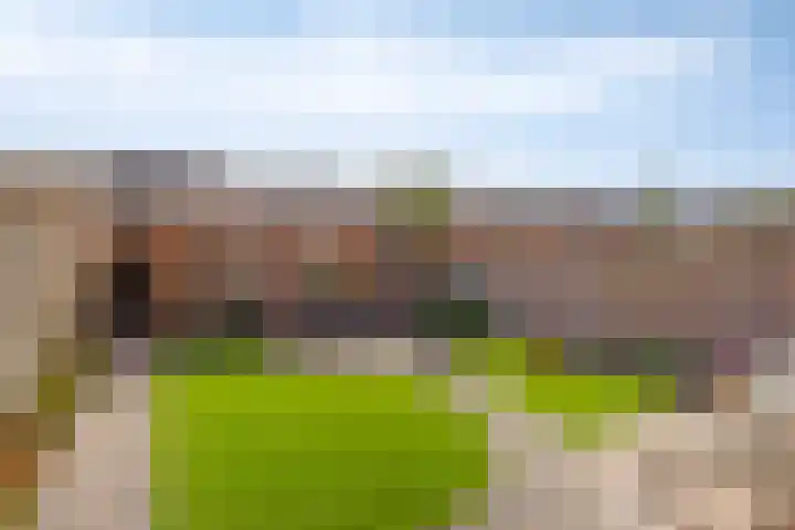 Zwembadweg 21 Schijndel thumbnail 38