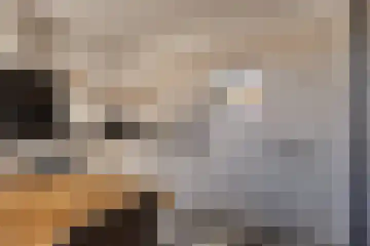 Zwembadweg 21 Schijndel thumbnail 4