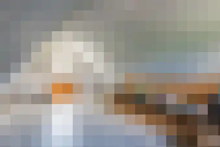Zwembadweg 22 Hoogeveen thumbnail 28