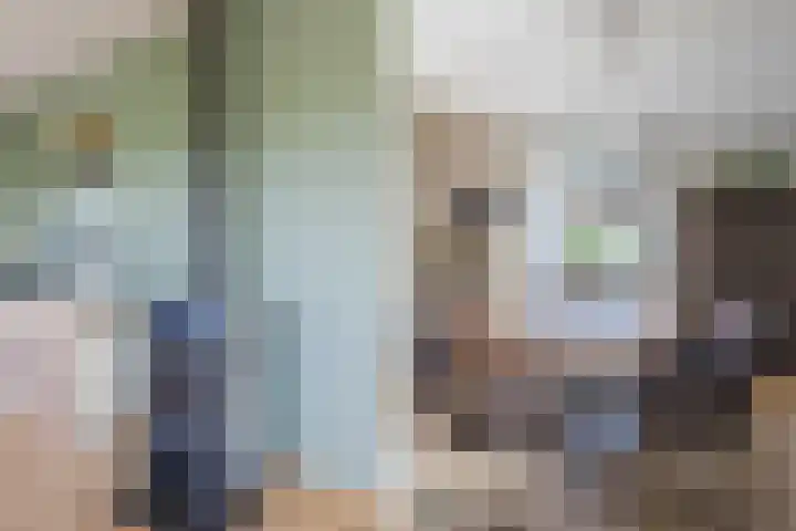 Zwembadweg 22 Hoogeveen thumbnail 6