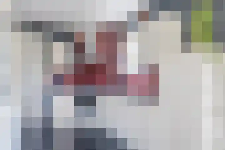 Zwembadweg 22 Hoogeveen thumbnail 7