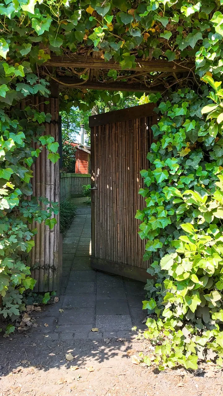 Zwembadweg 37 110 Sint-Oedenrode thumbnail 4